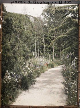 Image représentant La forêt dorée et la prairie en fleurs, vues en direction de la forêt vosgienne