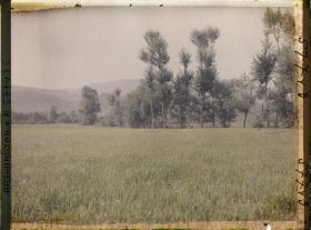 Image représentant Sur le fleuve Logar, au sud-ouest de Kaboul), un champ