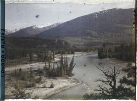 Image représentant Canada, Jasper-Parc, Vallée de l'Athabasca