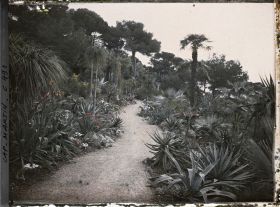 Image représentant Cap Martin Le Jardin