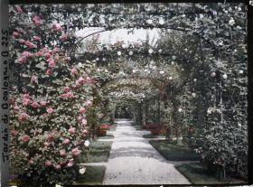 Image représentant Axe central du verger-roseraie vu en direction de la dépendance, à la limite du jardin français