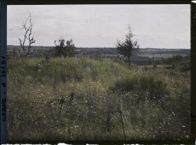 Image représentant France, Vienne le Château , Secteur S-E de St Thomas, plateau situé s/ la route de Binarville