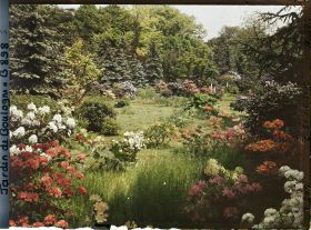 Image représentant Azalées et rhodos près de la forêt bleue et du marais