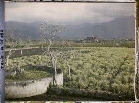 Image représentant Vue prise de la route vers l'Ouest sur le chemin vers Pompéi