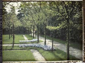 Image représentant Allée ouest du verger-roseraie longeant la dépendance en direction du jardin japonais