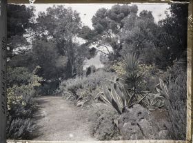 Image représentant Le Jardin