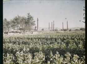 Image représentant Afghanistan, Hérat, Vue s/ les minarets de la gde mosquée