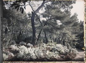 Image représentant Cap Martin Le Jardin