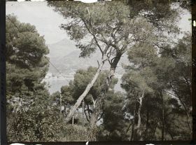 Image représentant Cap Martin Le Jardin