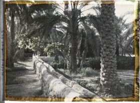 Image représentant Rigoles d'irrigation dans l'oasis