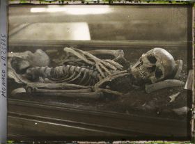 Image représentant Squelette d'un homme de haute stature de 2m de type Cro Magnon, Grotte des Enfants