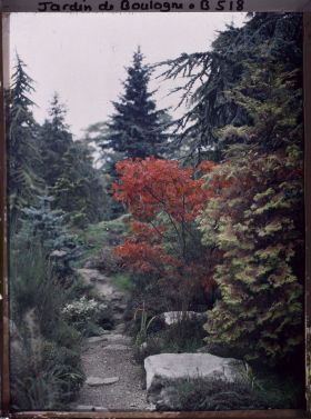 Image représentant Érable rouge au bord d'un chemin du " sanctuaire japonais ", encore proche du " village japonais "
