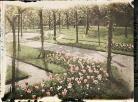 Image représentant Partie sud-ouest du verger-roseraie vue à proximité de l'axe central, en direction du jardin japonais