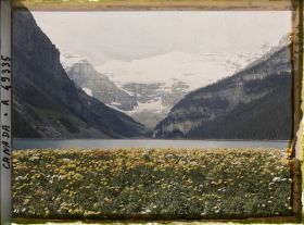 Image représentant Canada, Lac Louise, Vue vers le Glacier Victoria et fleurs de montagne