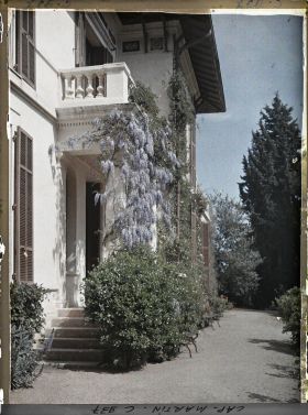 Image représentant Le perron de la villa Miramar et avec la glycine