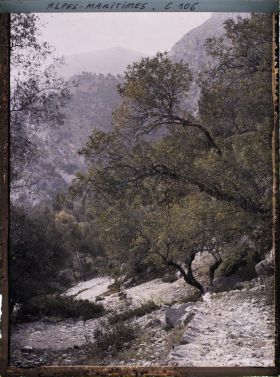 Image représentant Le chemin rocailleux, dans la montagne