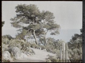 Image représentant Cap Martin Le Jardin