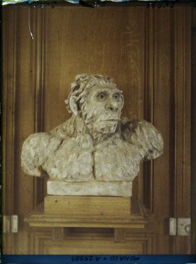 Image représentant Homo Moustériensis, Epoque Glaciaire, âgé du mammouth ; reconstitution par le Dr Maurice. Faure et Melle Yvonne Parvillée, " d'une scrupuleuse exactitude anatomique "