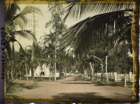 Image représentant Intersection d'avenues dans le quartier européen, présence de ligne télégraphique suspendue aux arbres