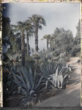 Image représentant Cap Martin Le Jardin