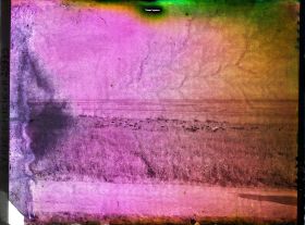 Image représentant Troupeau dans une plaine