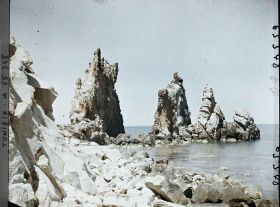 Image représentant Les aiguilles sur le rivage