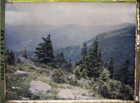 Image représentant Alsace, Houhneck, Ravin du Wormspelle vu des pentes Sud du petit Honhneck