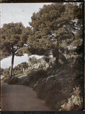 Image représentant Cap Martin Le Jardin