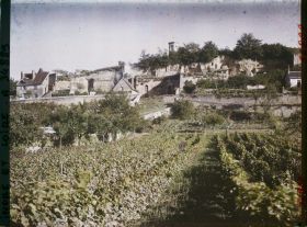 Image représentant Vignoble des coteaux de Vouvray, au fond l'église Notre-Dame-et-Saint-Jean-Baptiste