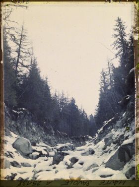 Image représentant France Les Alpes, Glacier des Bossons : Pentes de la Montagne ravagées par un torrent en juin 1920 (amont)