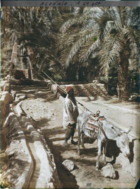 Image représentant Homme puisant de l'eau à l'aide d'un âne