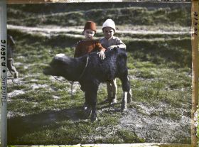 Image représentant Deux garçonnets turcs tenant un veau