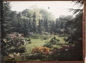 Image représentant Azalées et rhodos près du marais