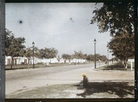 Image représentant Abords du parlement de New-Delhi