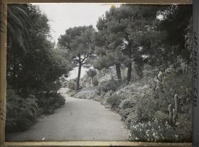 Image représentant Le jardin, Gde allée vers Monaco