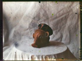 Image représentant Rhyton en forme de tête de porc