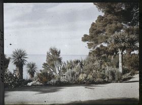 Image représentant Le Jardin (matin, vers Monaco)