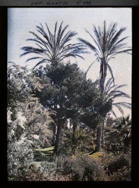 Image représentant Le jardin