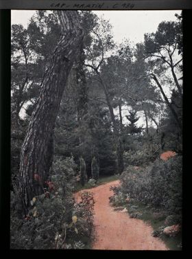 Image représentant Une allée dans le jardin