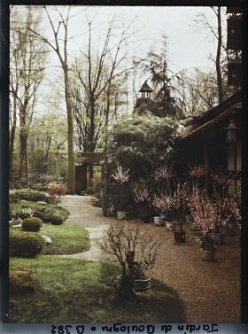 Image représentant Allée principale du " village japonais " longeant la maison est, ornée d'arbres en pots fleuris