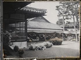 Image représentant Exposition de chrysanthèmes