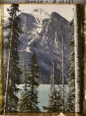 Image représentant Canada, Lac Louise, Le Lac et le Mt Fairwiev entre les arbres