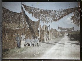 Image représentant France, Coucy le Chau, Les routes Camouflées