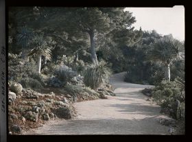 Image représentant Cap Martin Le Jardin