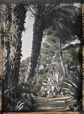 Image représentant Cap Martin Le Jardin