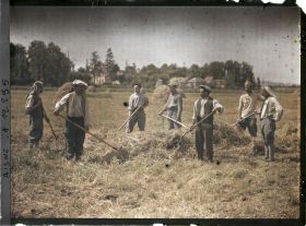 Image représentant Equipe d'agriculteurs du 143e territorial ramassant le foin