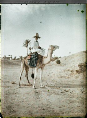 Image représentant Un officier méhariste sur sa monture