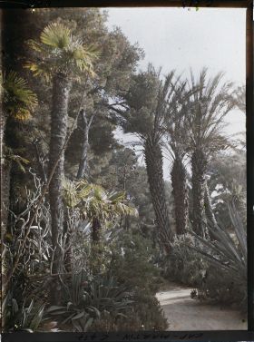 Image représentant Cap Martin Le Jardin