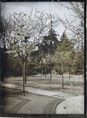 Image représentant Partie sud-ouest du verger-roseraie travaillée, vue depuis le rond-point proche de la dépendance