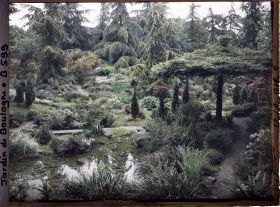 Image représentant Scène aquatique et rocaille fleurie du " sanctuaire japonais " situées non loin du temple shinto